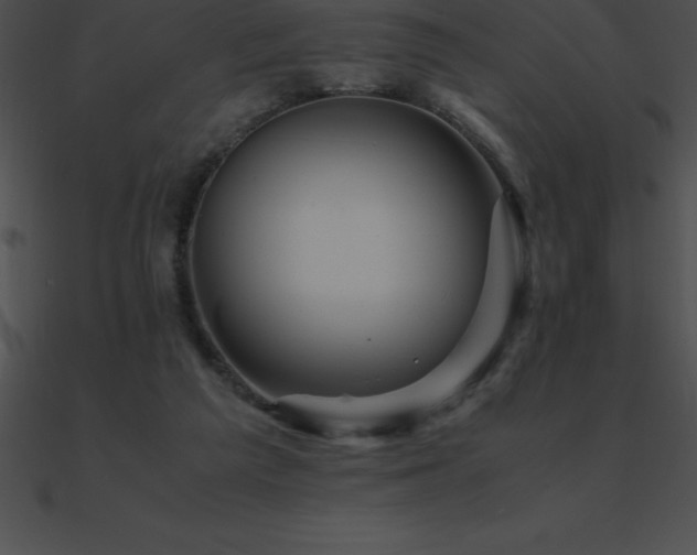 X0000090960209200708021423