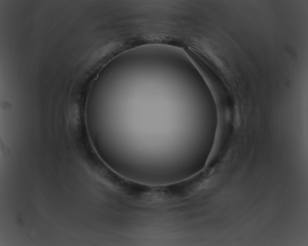 X0000090960211200708021423