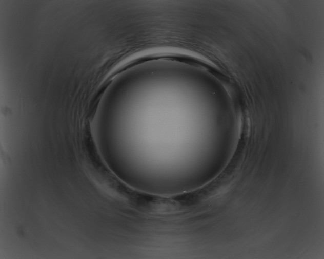X0000090960215200708021423
