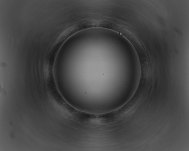 X0000090960216200708021423