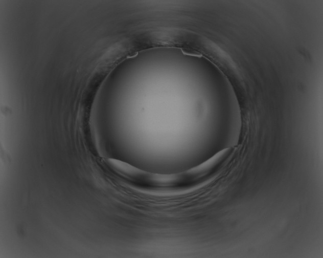 X0000090960217200708021423