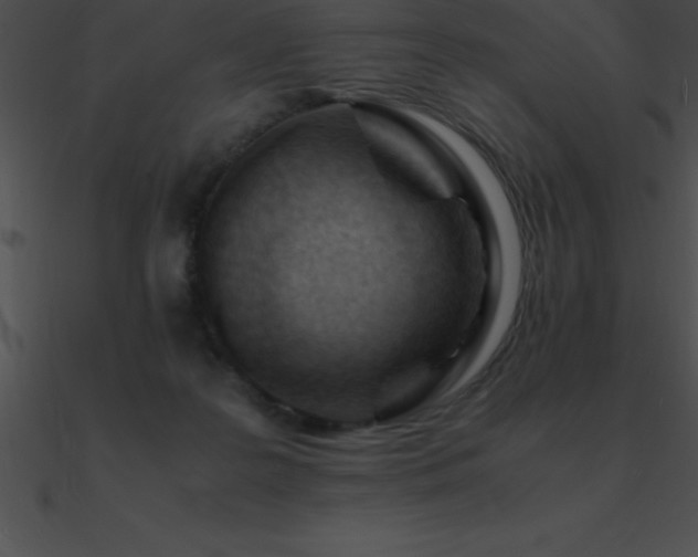 X0000090960219200708021423