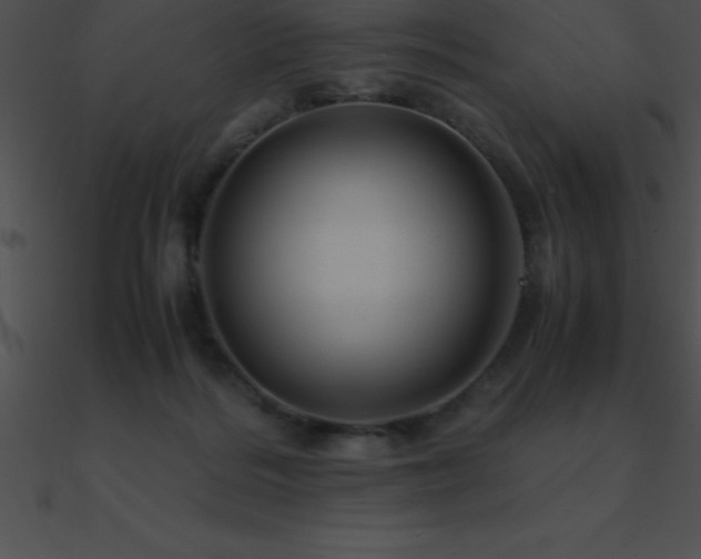 X0000090960220200708021423