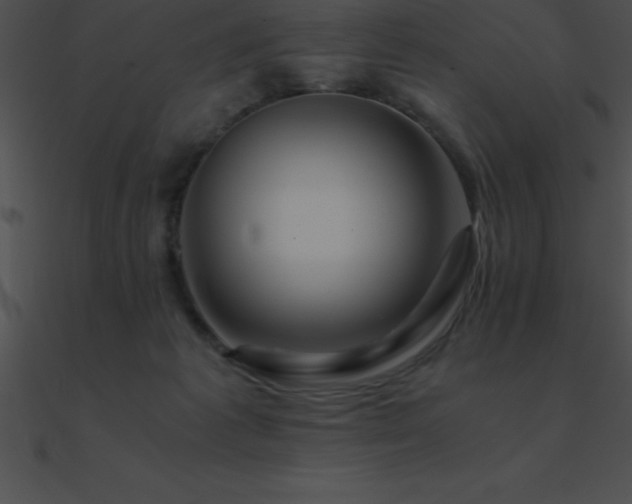 X0000090960221200708021423