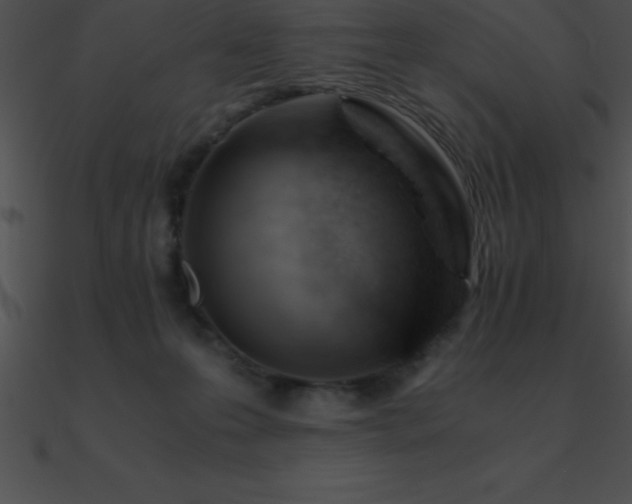 X0000090960223200708021423