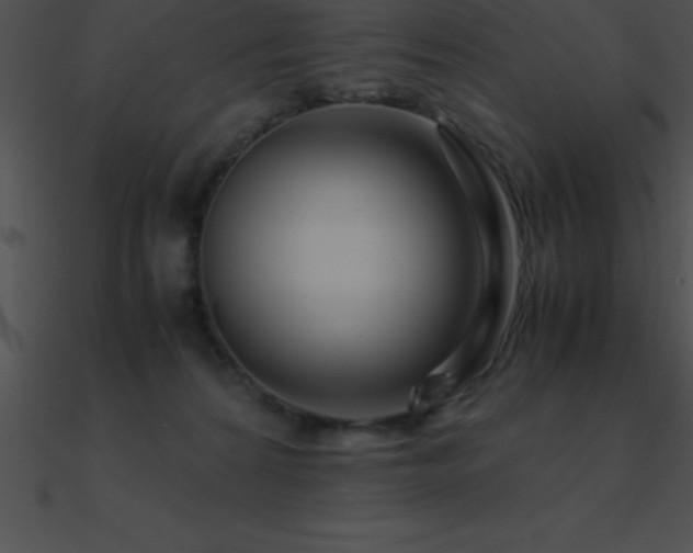 X0000090960224200708021423