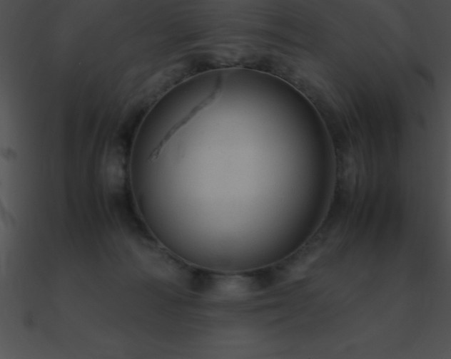 X0000090960226200708021422