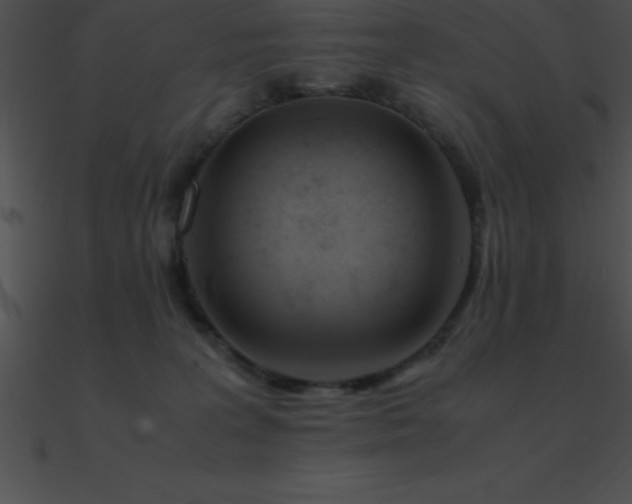 X0000090960227200708021422