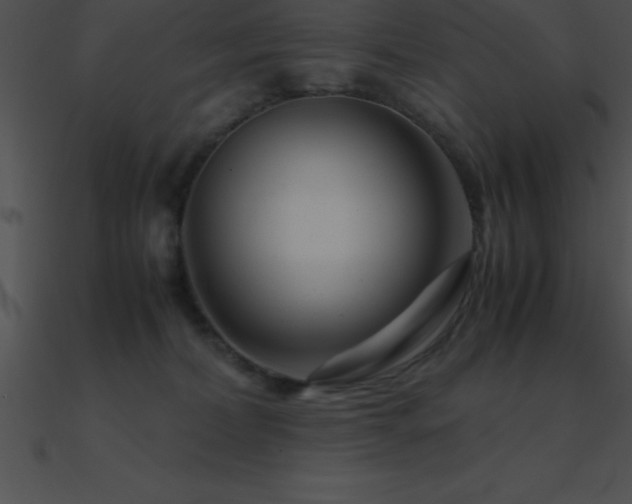 X0000090960228200708021422