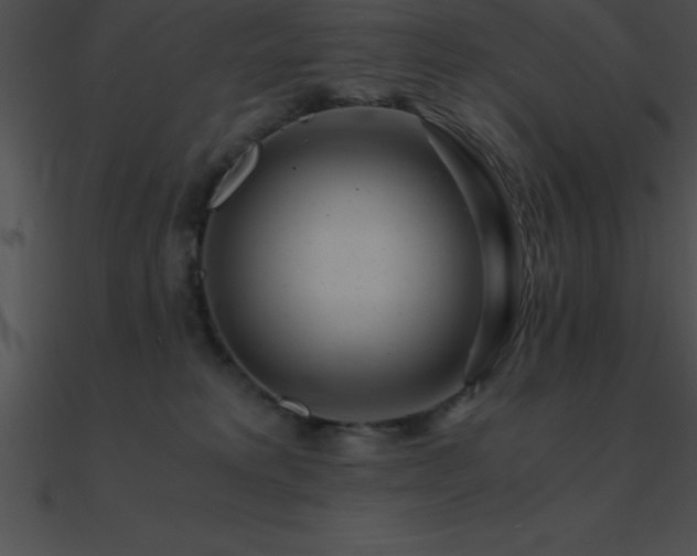 X0000090960229200708021422