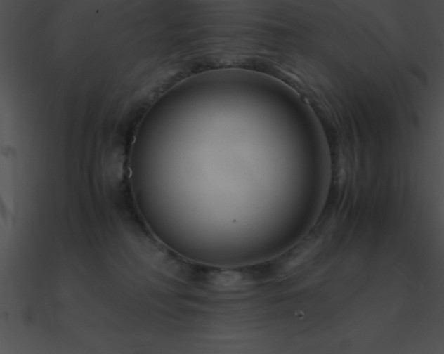 X0000090960230200708021422