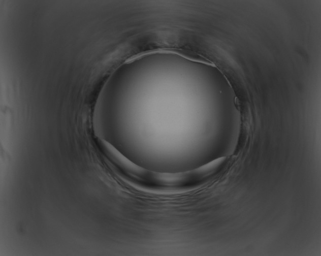 X0000090960233200708021422