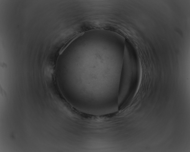 X0000090960235200708021422