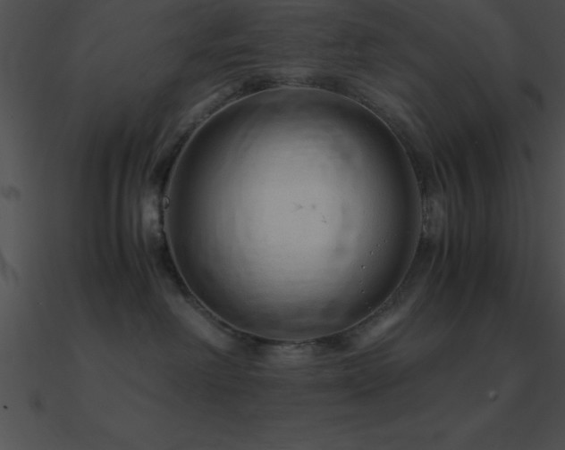 X0000090960238200708021422