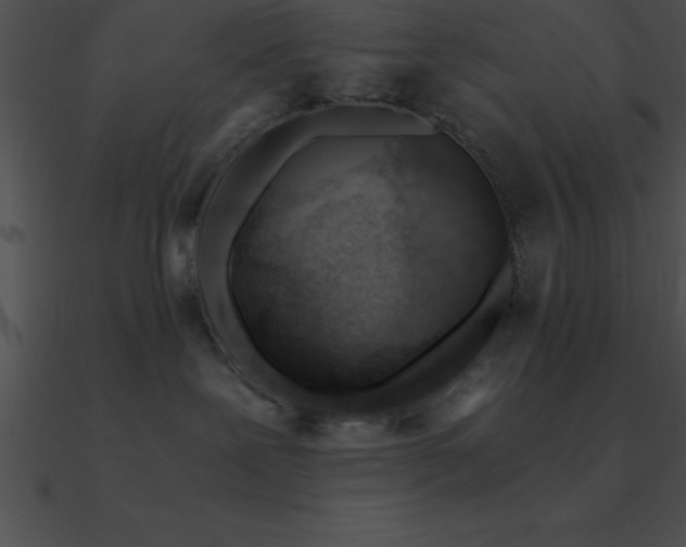 X0000090960239200708021422