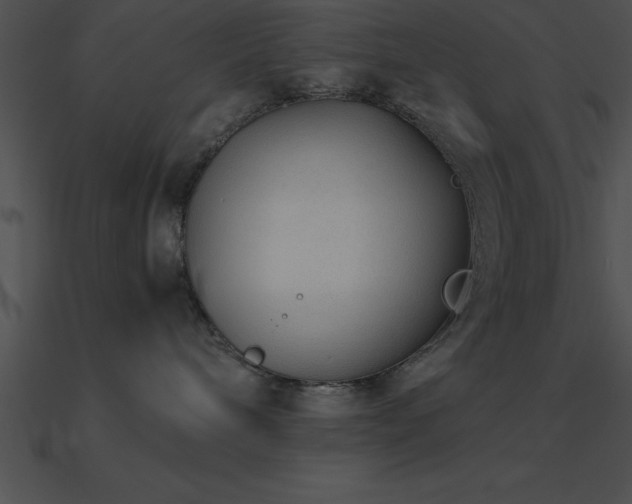 X0000090960240200708021422