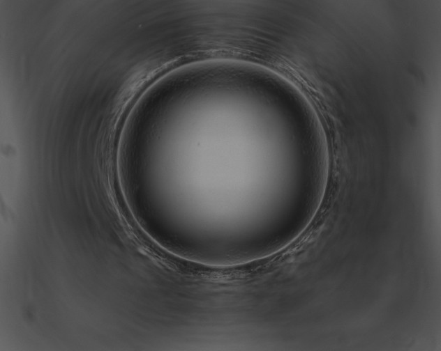 X0000090960241200708021422