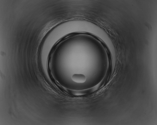 X0000090960242200708021422
