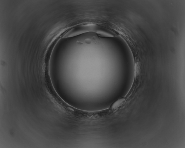 X0000090960243200708021422