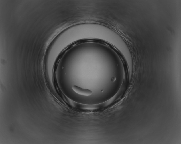 X0000090960244200708021422