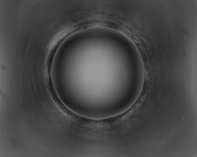 X0000090960245200708021422