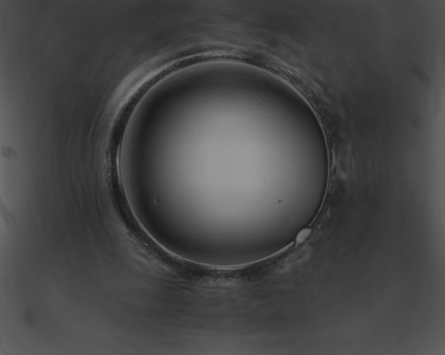 X0000090960247200708021422