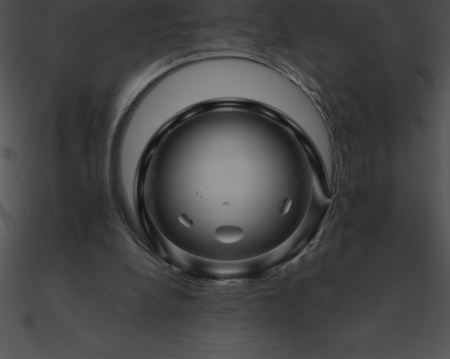 X0000090960248200708021422