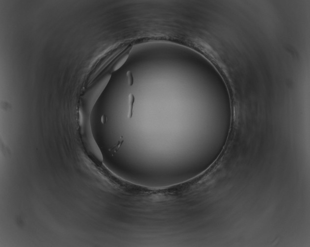 X0000090960249200708021422