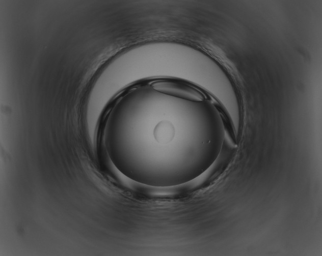 X0000090960250200708021422