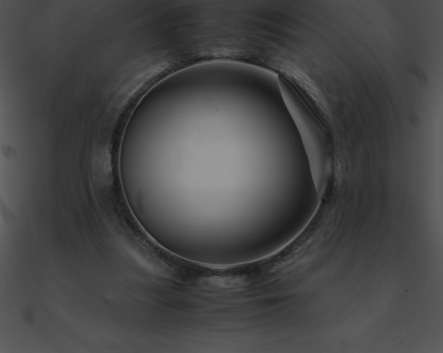 X0000090960251200708021422