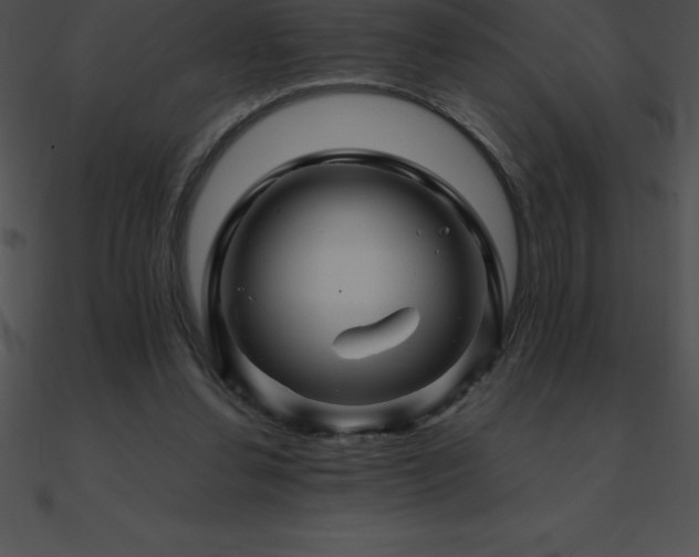 X0000090960252200708021422