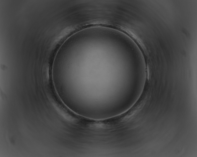 X0000090960253200708021422