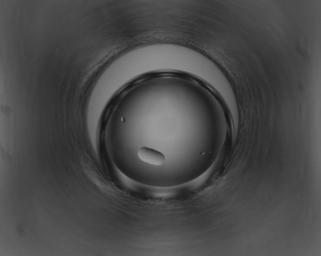 X0000090960254200708021422