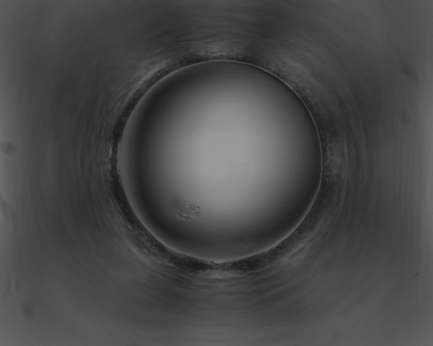 X0000090960255200708021422