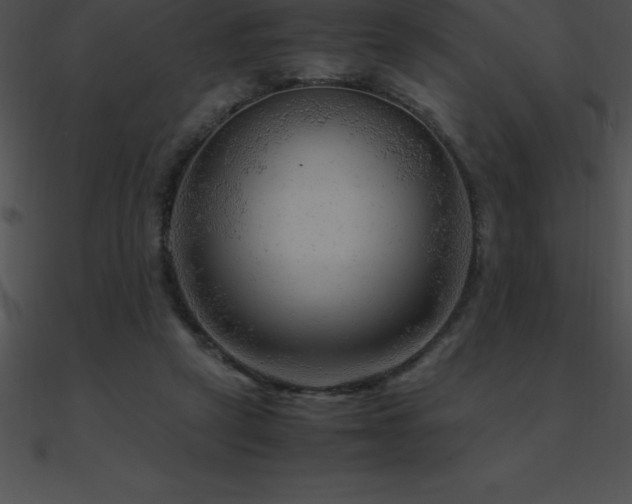 X0000090960257200708021422