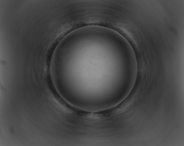X0000090960261200708021422