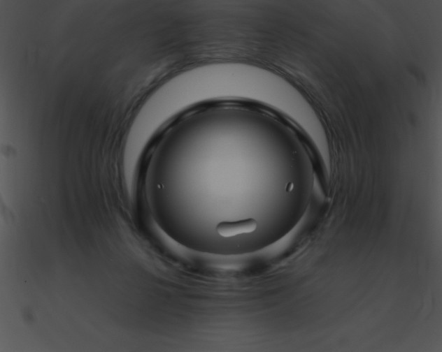 X0000090960264200708021422