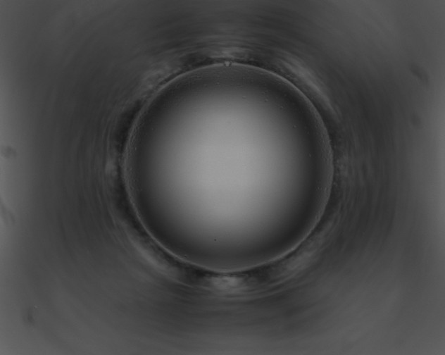 X0000090960265200708021422
