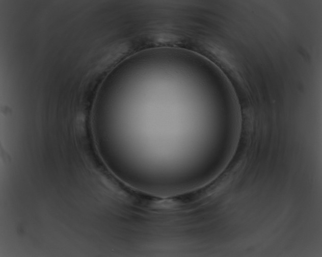 X0000090960269200708021422