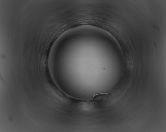 X0000090960275200708021422