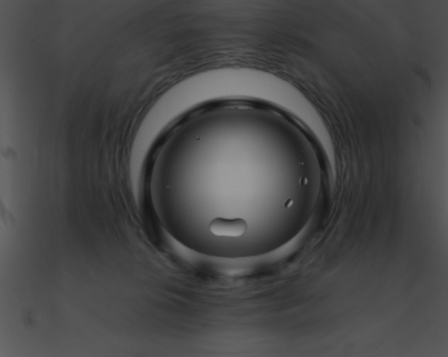 X0000090960276200708021422