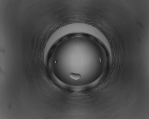 X0000090960280200708021422