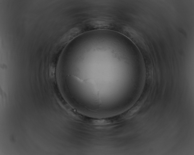 X0000090960281200708021422