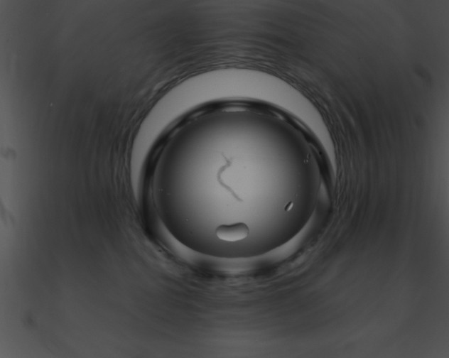 X0000090960282200708021422