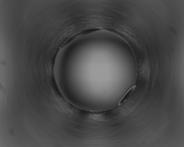 X0000090960283200708021422