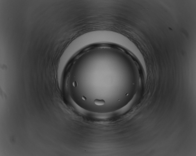 X0000090960284200708021422