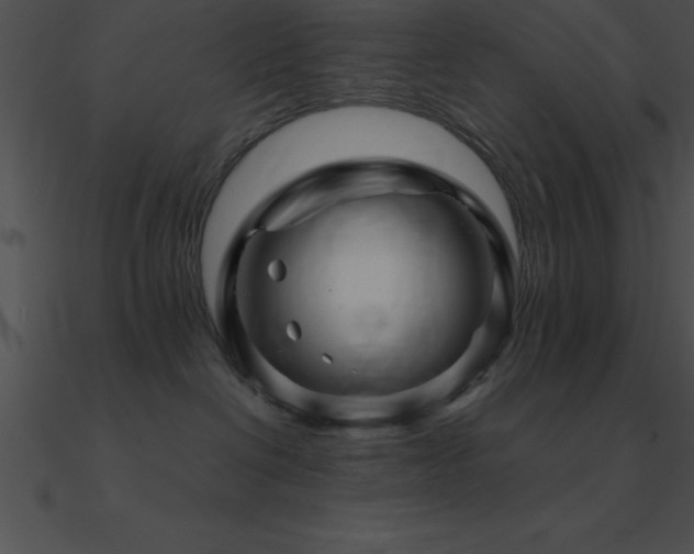 X0000090960286200708021422