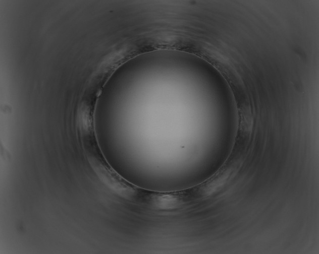 X0000090960287200708021422