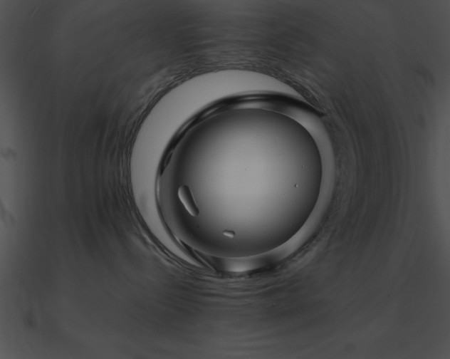 X0000090960288200708021422