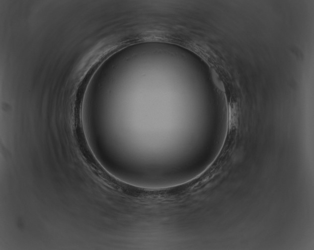 X0000090960291200708021422